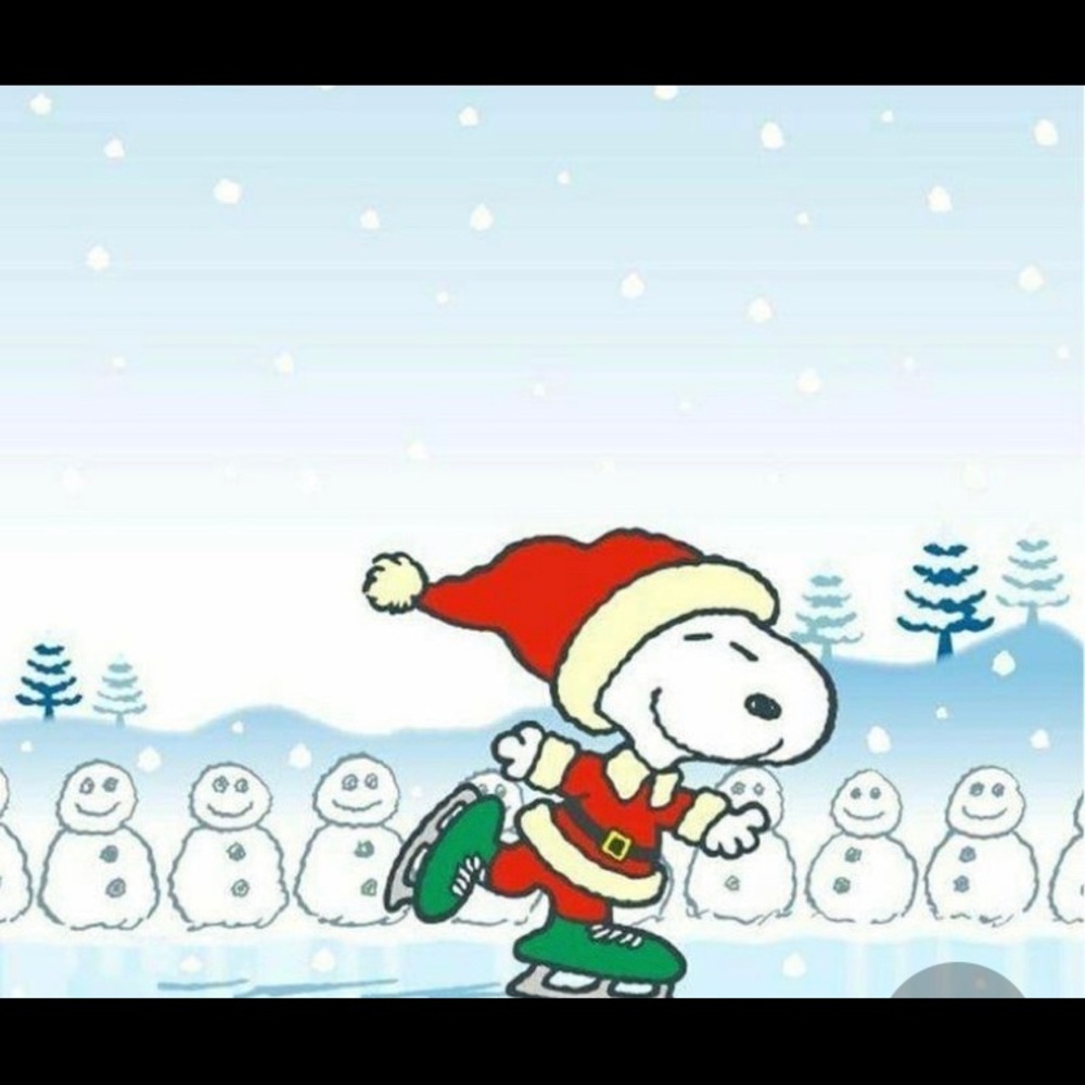 Meet your Posher, Wonder